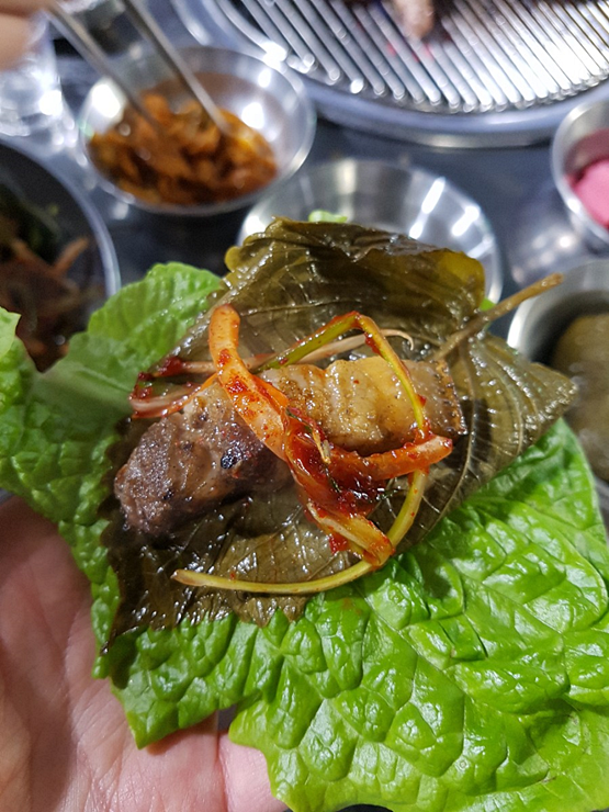 곰집 이미지