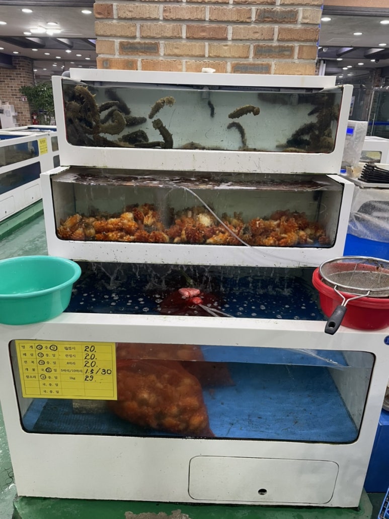 청주군산활어 이미지