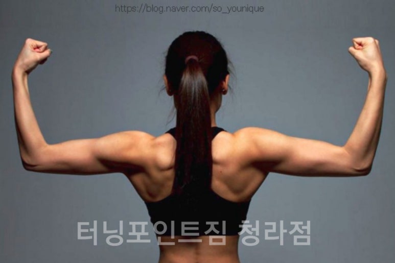 린매스짐 이미지