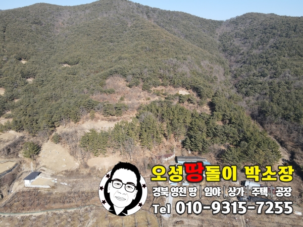 오성임업 이미지