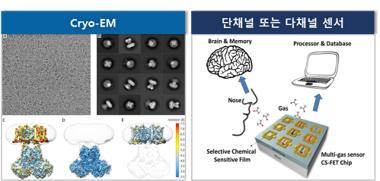 부신모사 이미지
