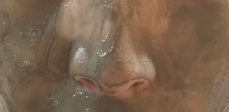 올리브영보령 이미지