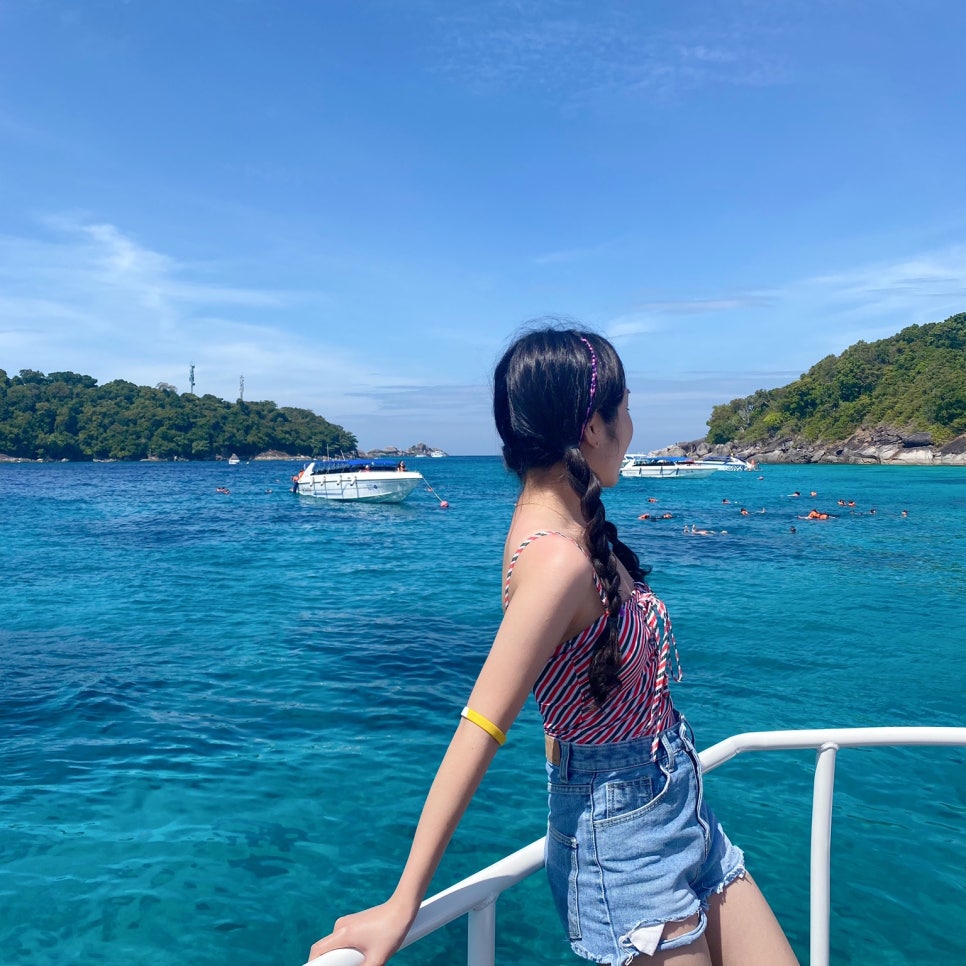 씨스타(seastar) 이미지