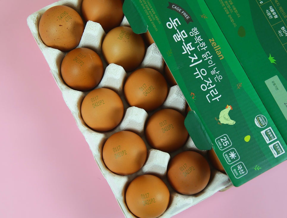오경(젤란) 이미지