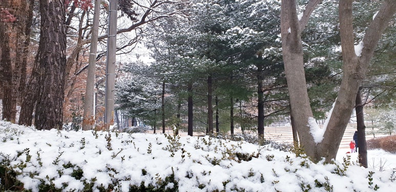마케팅상담소 이미지