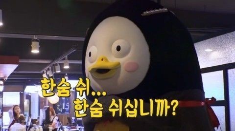 데헷 이미지