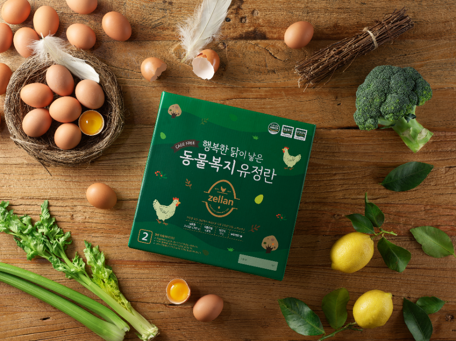 오경(젤란) 이미지
