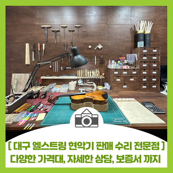 엘스트링 이미지
