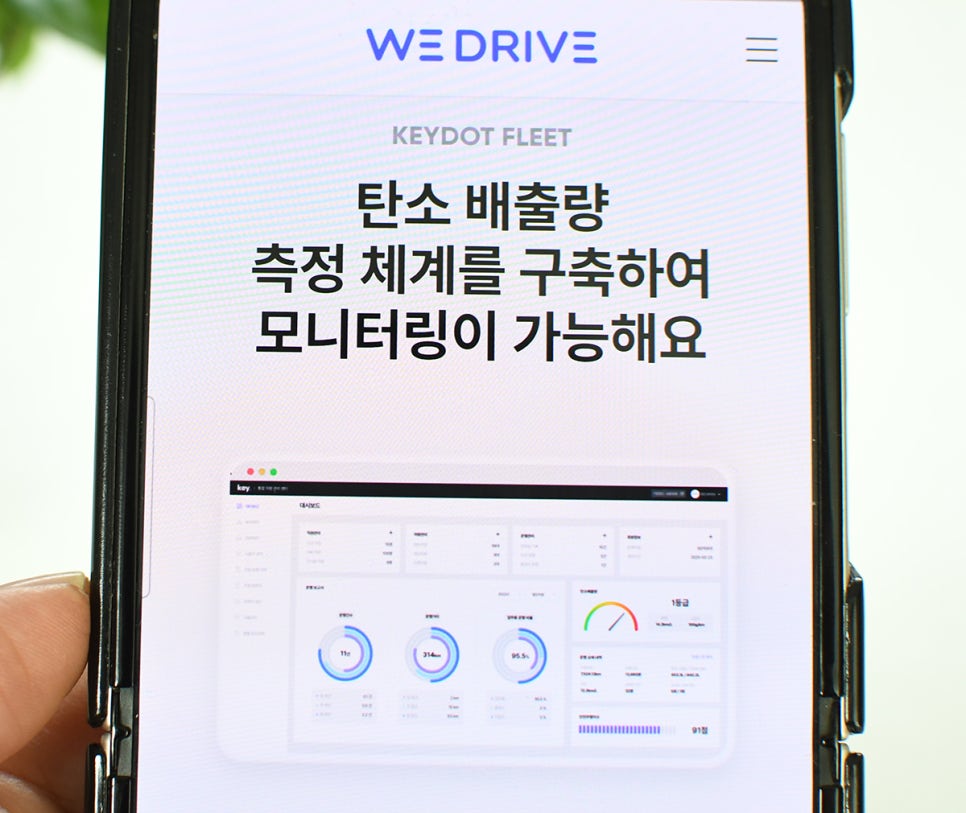 윈윈위드 이미지