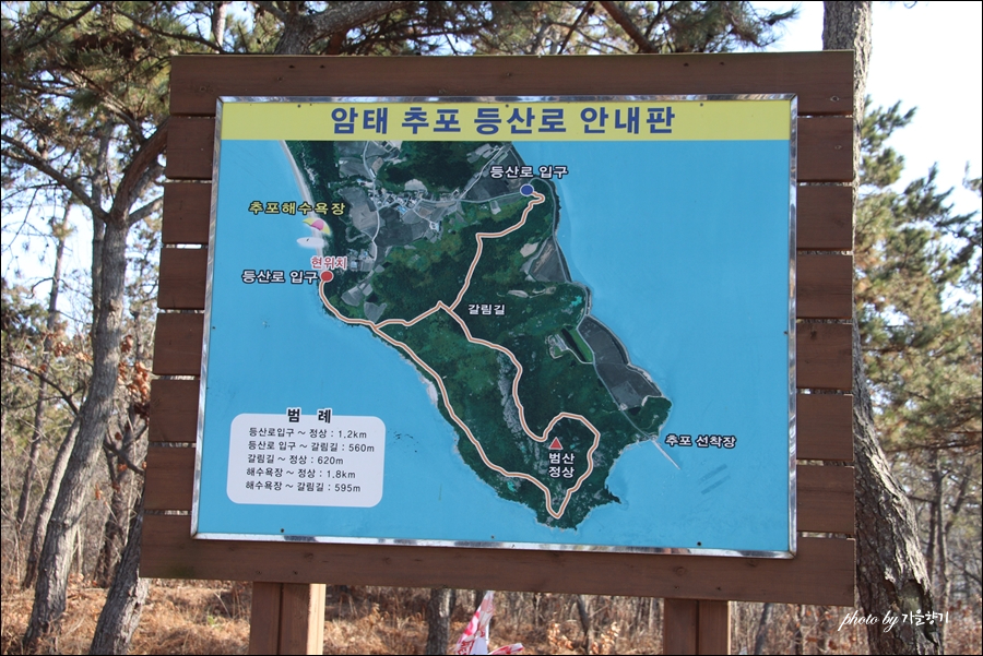 기동식당 이미지
