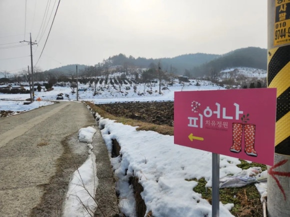 유정원카페 이미지