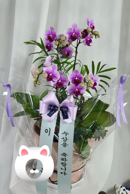 수플라워 이미지
