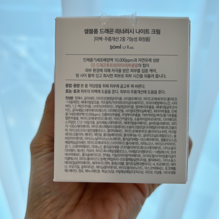 시드블룸 이미지