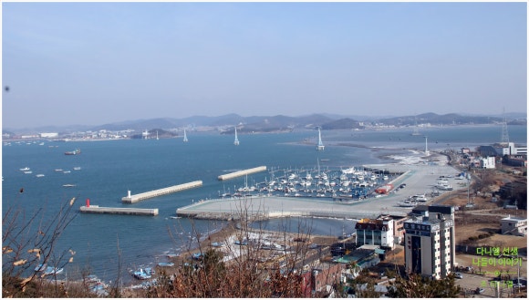 제부구제 이미지