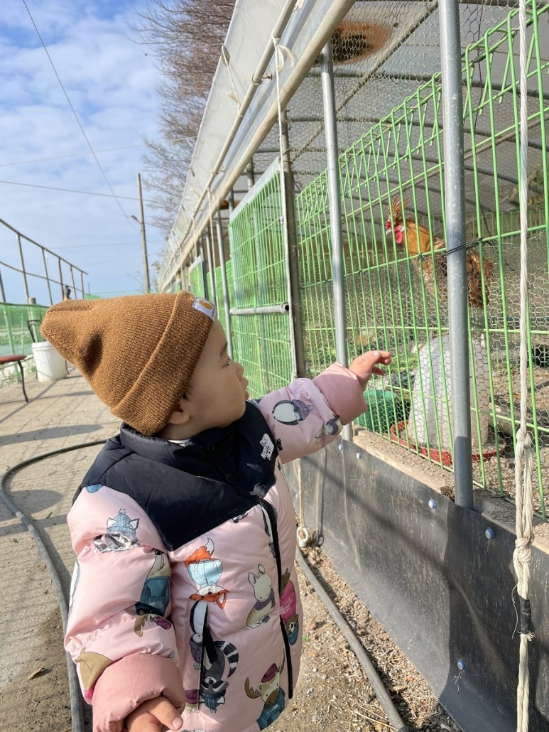 달빛담은캠핑장 이미지