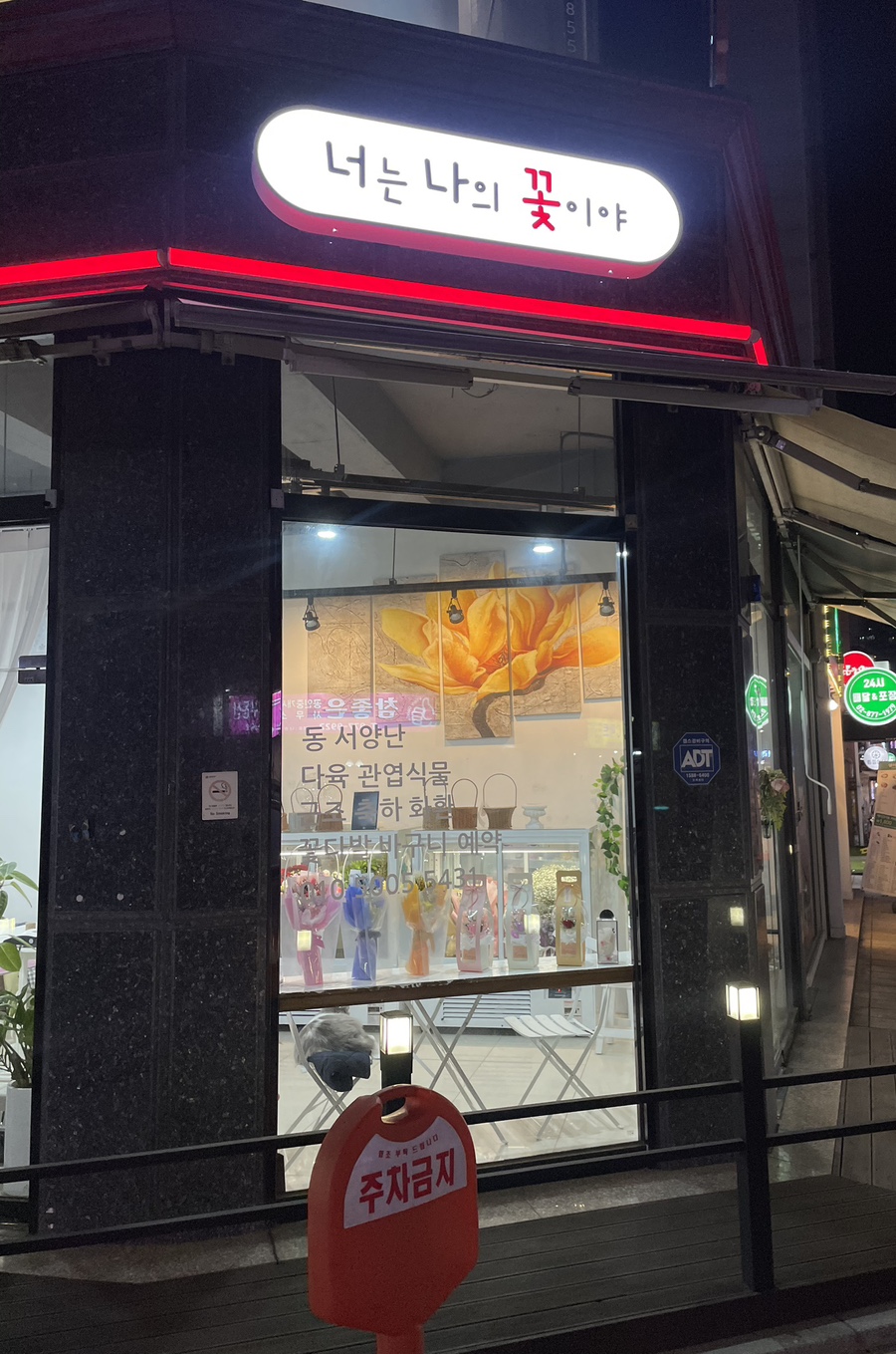 너는나의꽃 이미지