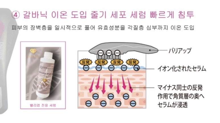 바이오포톤 이미지