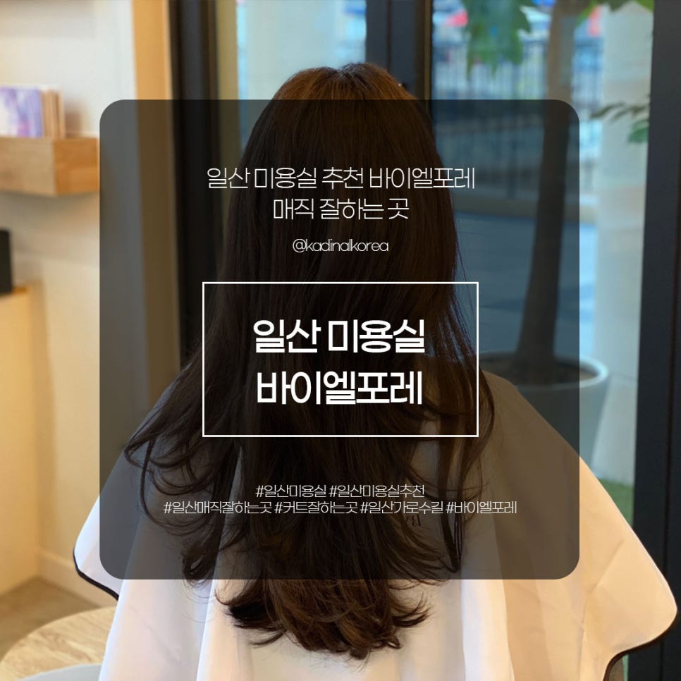 바이엘미용실 이미지