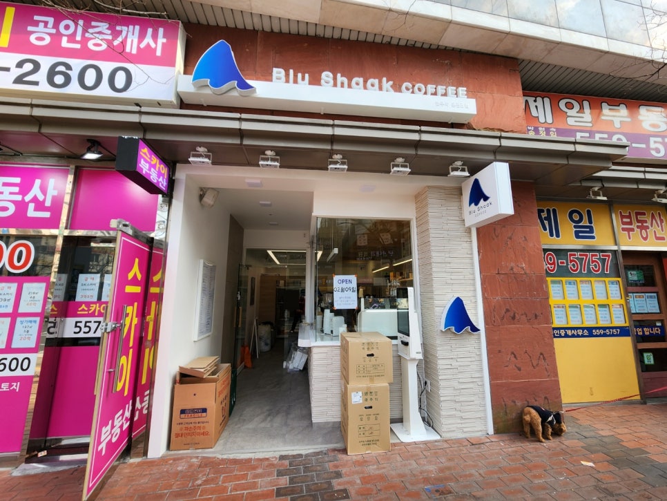 블루샥온천장점 이미지