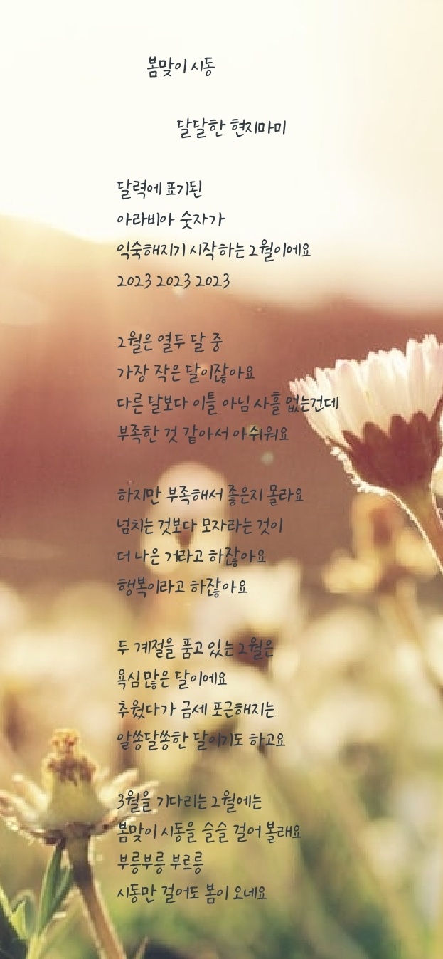 현지살롱 이미지