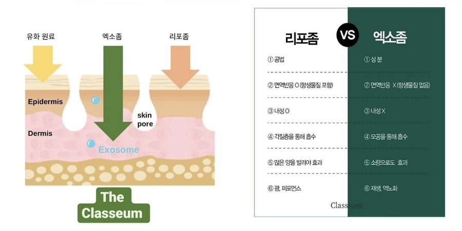 더클라세움화장품 이미지
