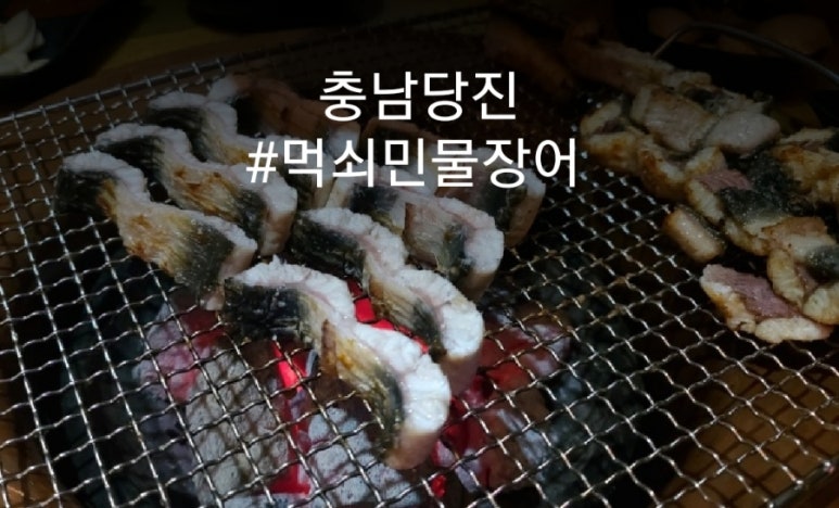 먹쇠민물장어 이미지