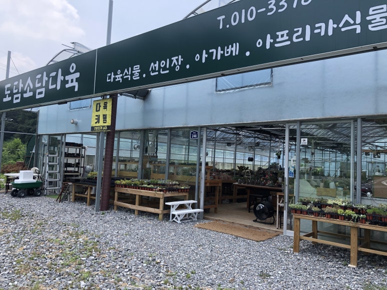 도담소담다육 이미지