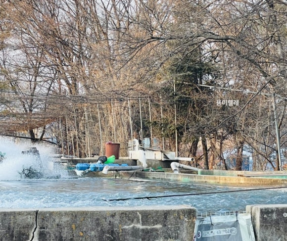 봉화통닭 이미지