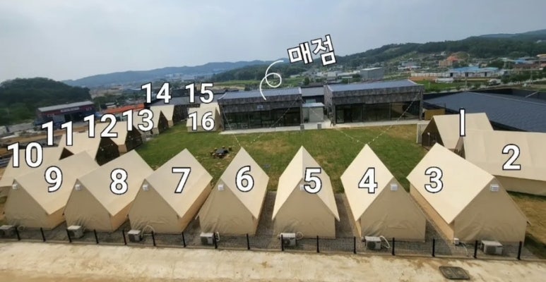 요기가고기가 이미지