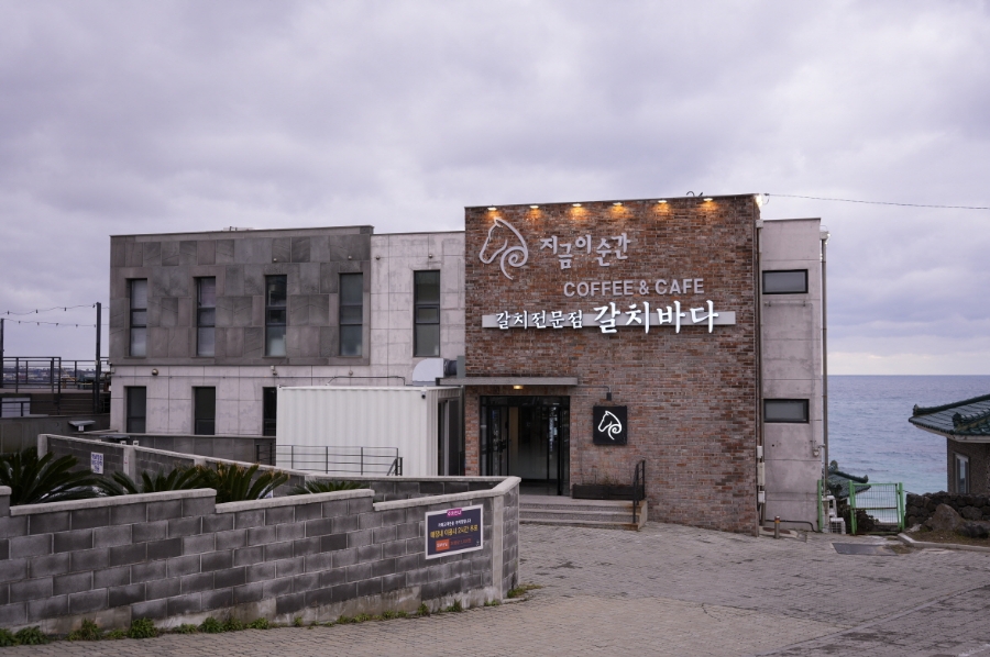 지금애월 이미지