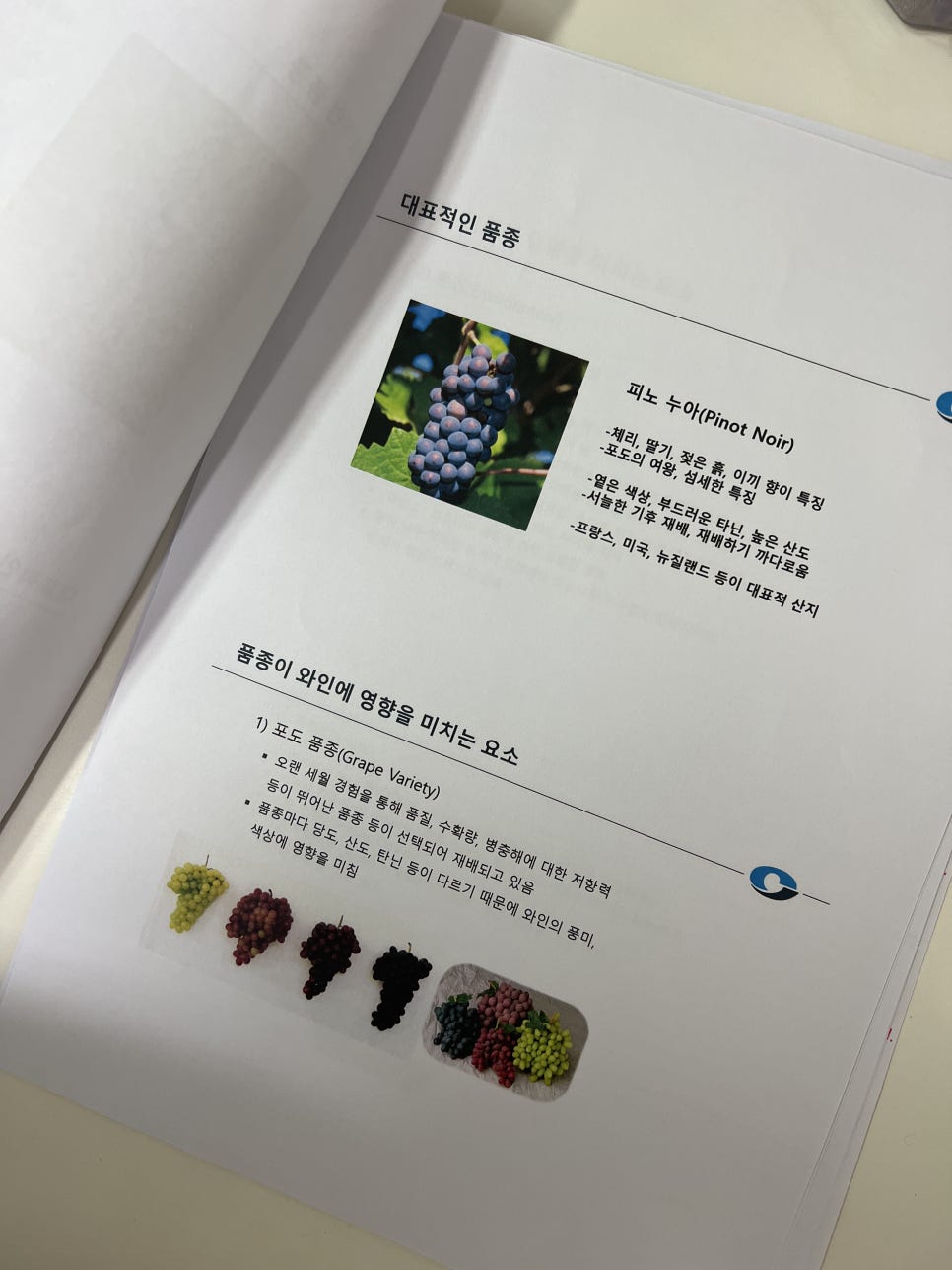 코스모엘엔비코스모와인 이미지