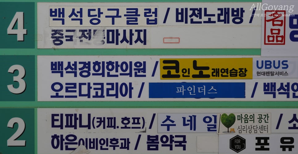 텐코인 코인노래뮤비방 이미지