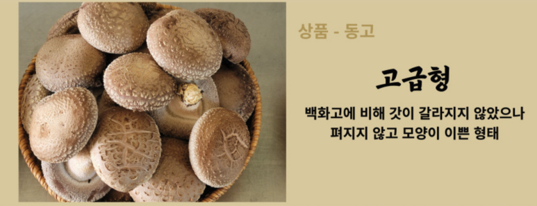 송화상사 이미지