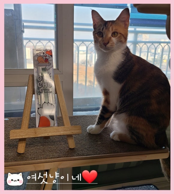 페르메스 이미지