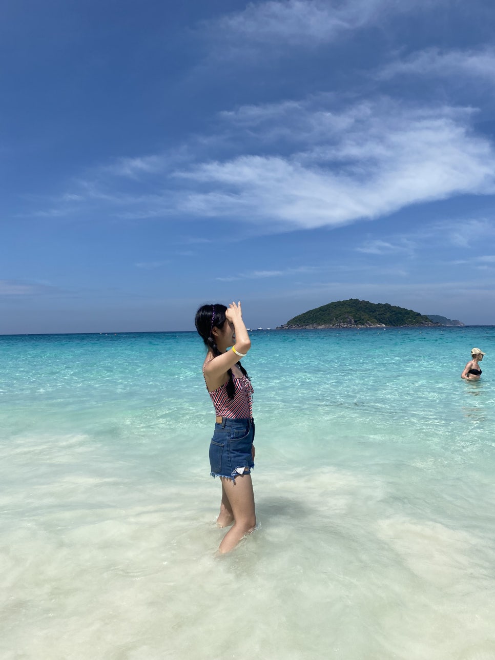 씨스타(seastar) 이미지