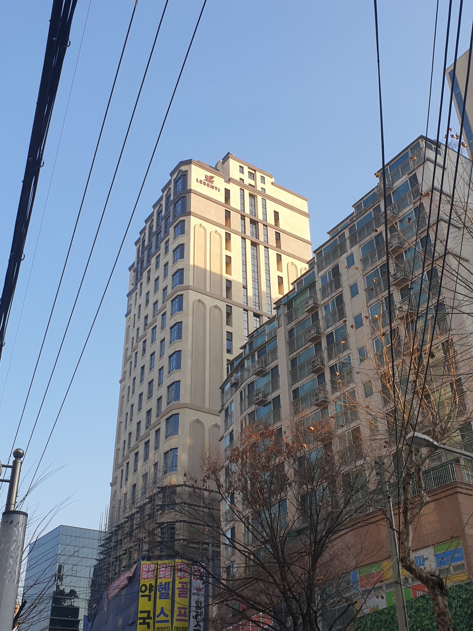 르포유 이미지