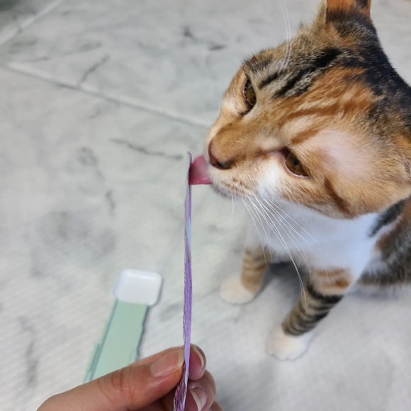 페르메스 이미지