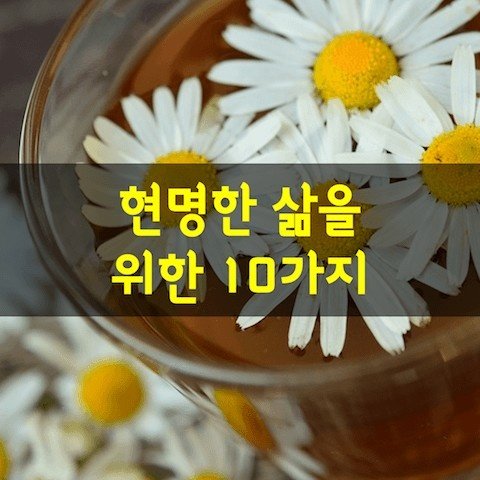 행복카페 이미지