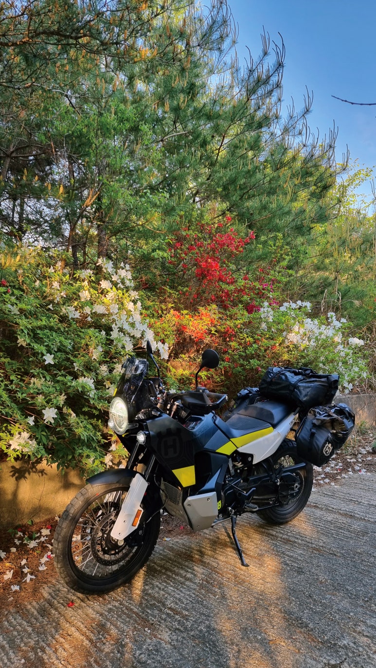 노든(norden) 이미지