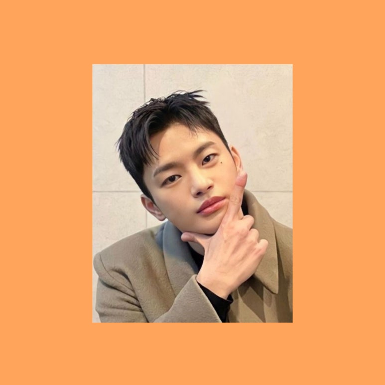 컷트박스 이미지