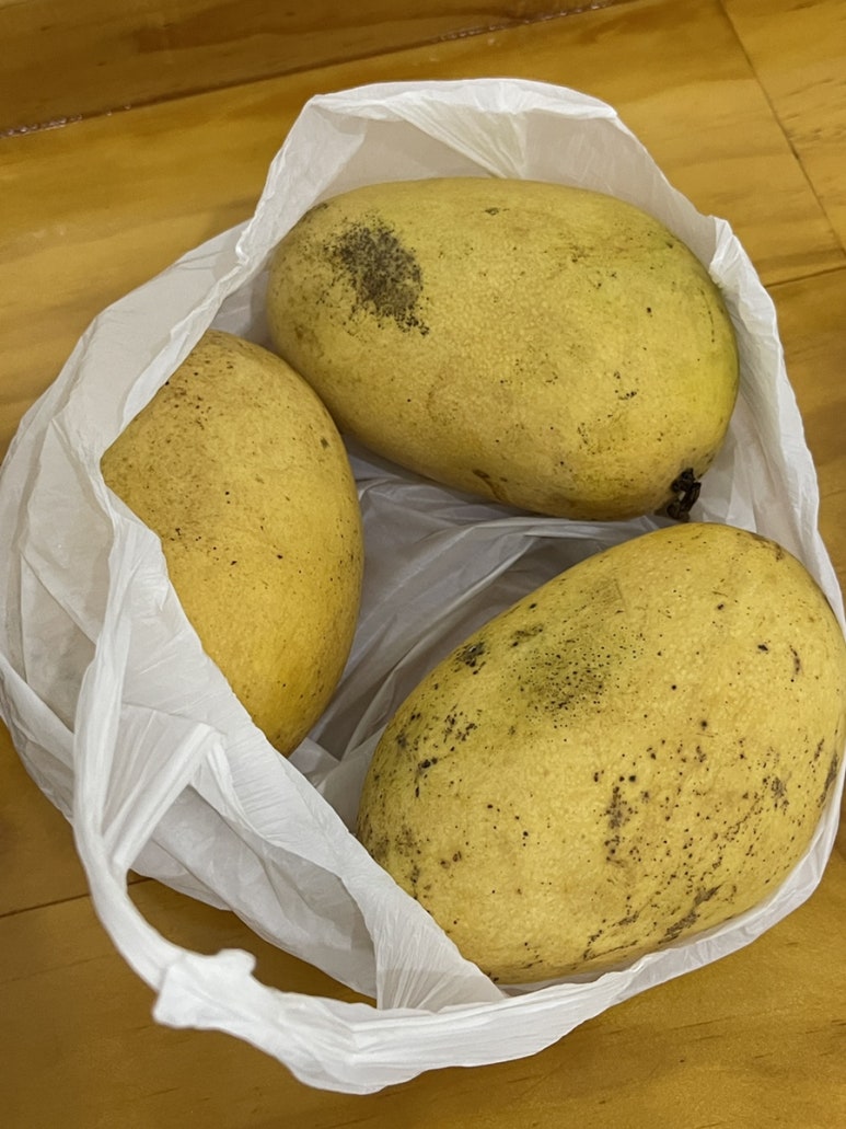 블리스메디 이미지
