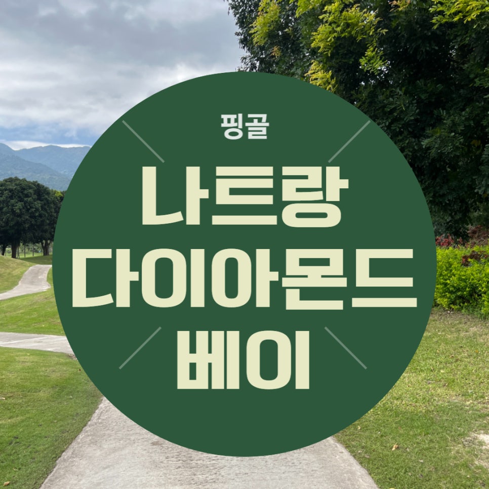 베이핑고 이미지
