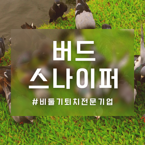 청소스나이퍼 이미지