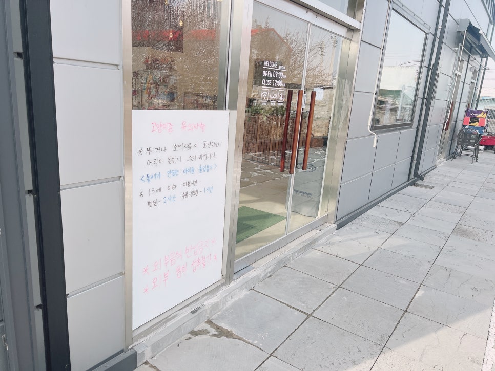 김포 고양이카페 솔빈마루 방문 후기 및 이용 안내 — 사진 4