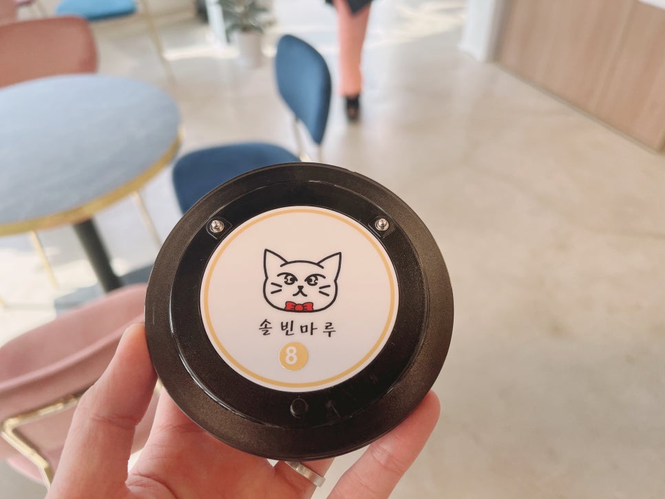 김포 고양이카페 솔빈마루 방문 후기 및 이용 안내 — 사진 5