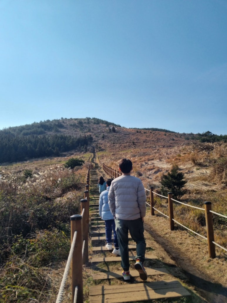오름라이팅 이미지