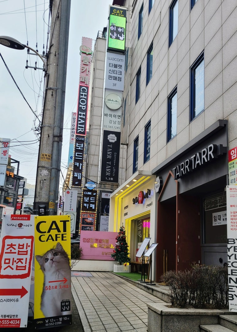 히히냥냥 이미지