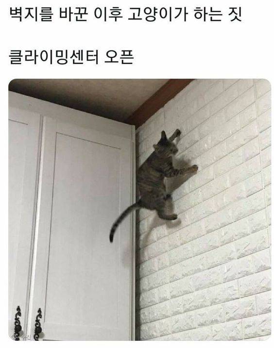 우풍 이미지