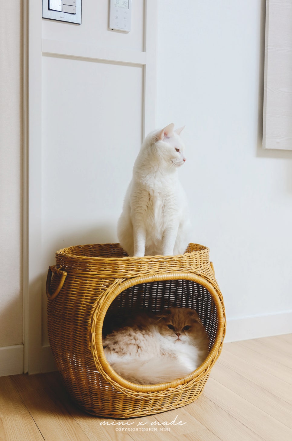 라탄테리어 이미지