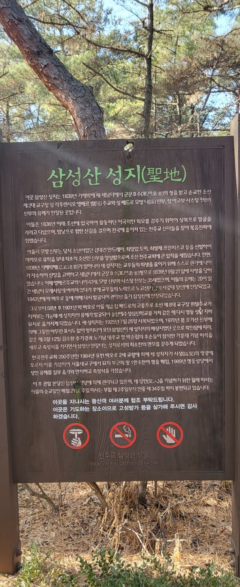 김치두루치기&차돌육개장 이미지